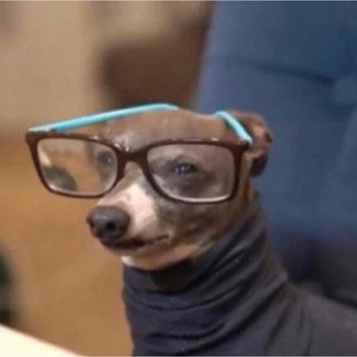 Imagem do estabelecimento